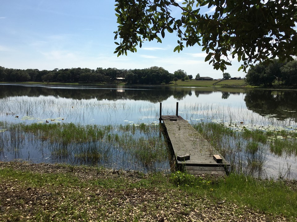 fish from your own dock