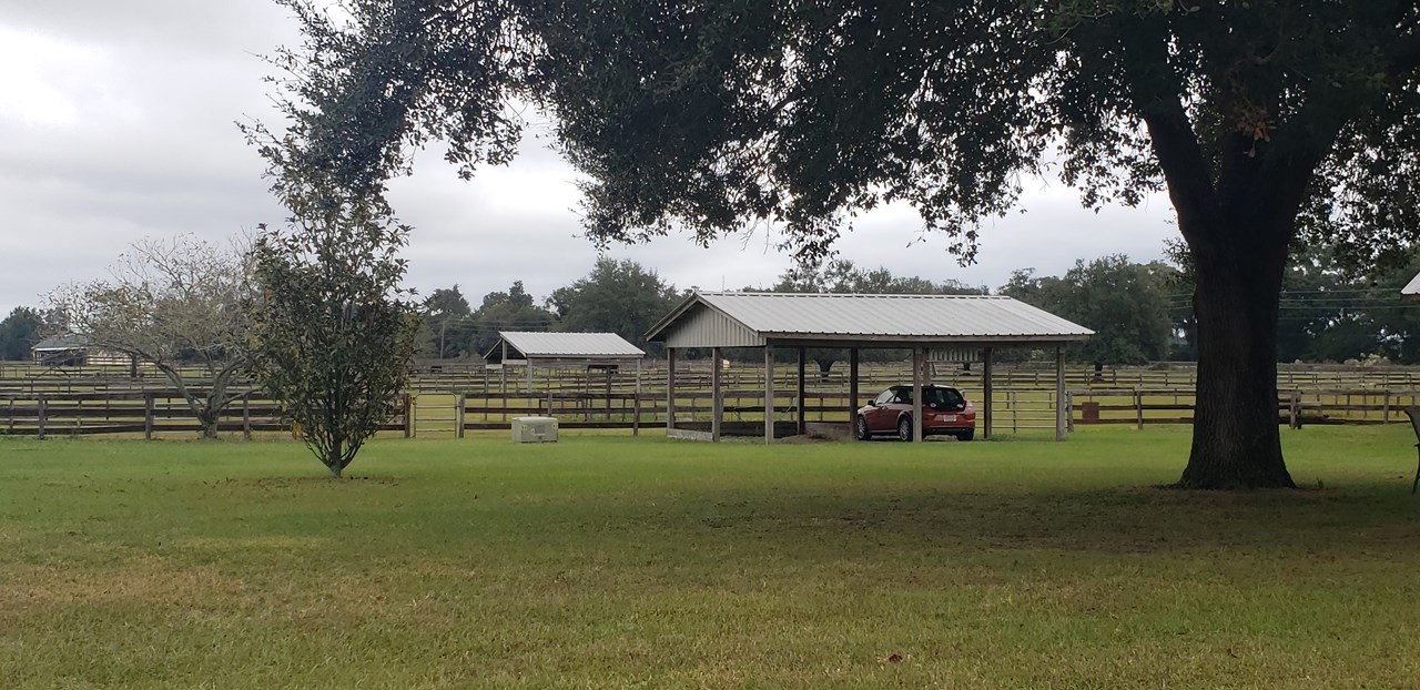 additional carport, run-in shed and roundpen