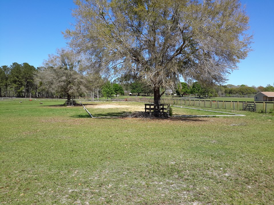 grassed over dressage arena has a compacted base.