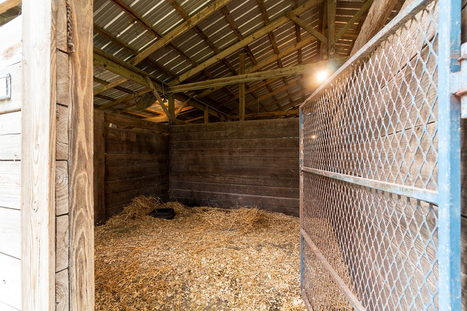 11 stalls in the barn. 4 stalls can accommodate foaling.