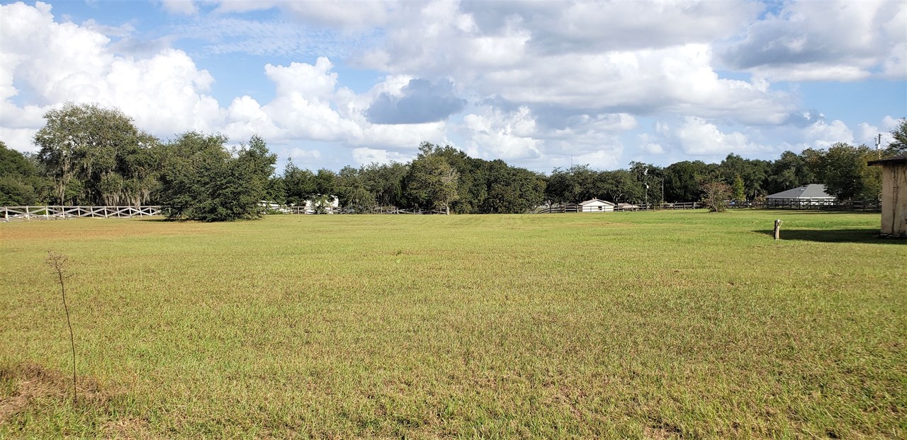 view of the rear acreage - high, dry, fairly level pasture