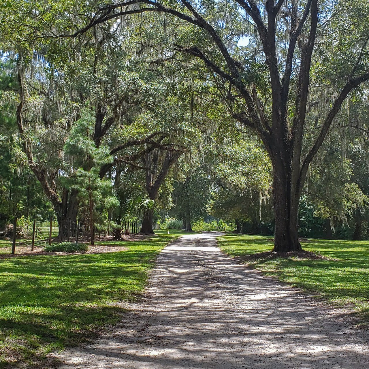 private lane to the site